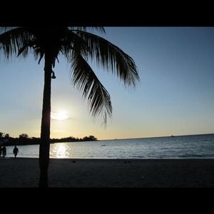 Meet your Posher, Ray